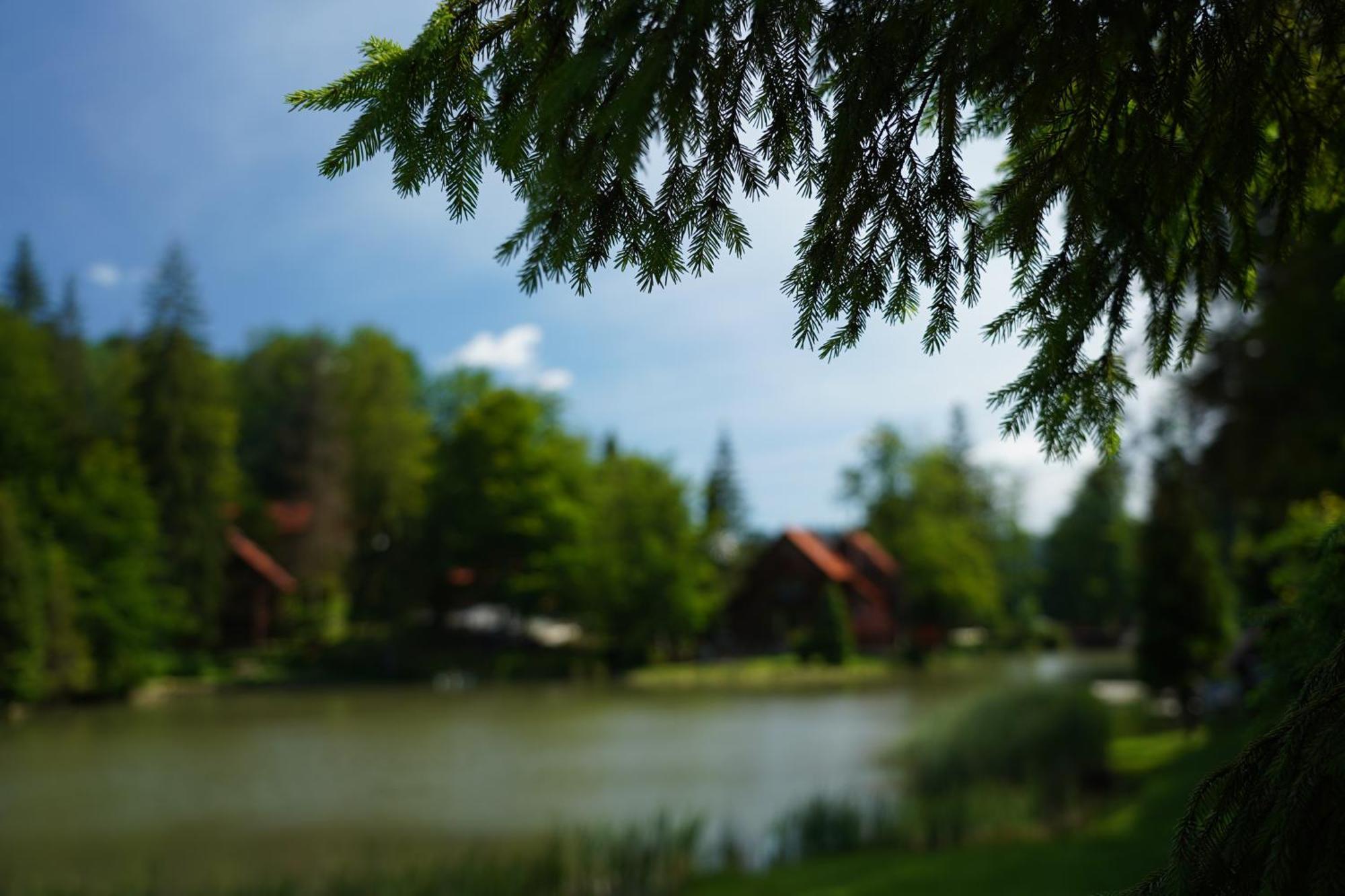 Hotel Ozero Vita Alsóhidegpatak Kültér fotó